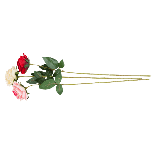 Satin Rose