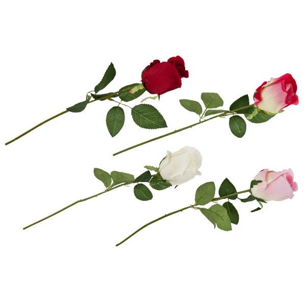 Geschlossene Rose