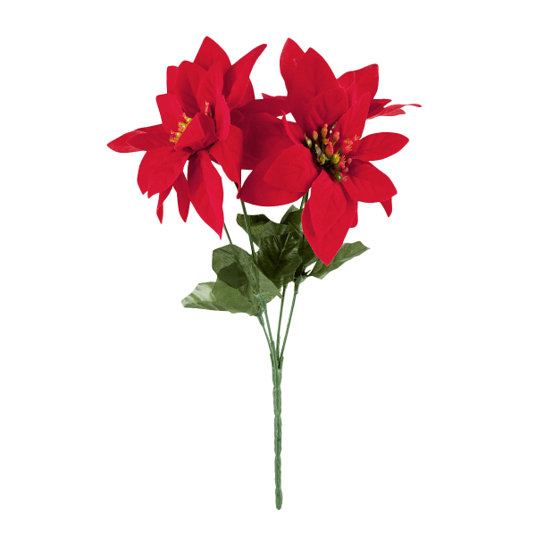 Weihnachtsstern