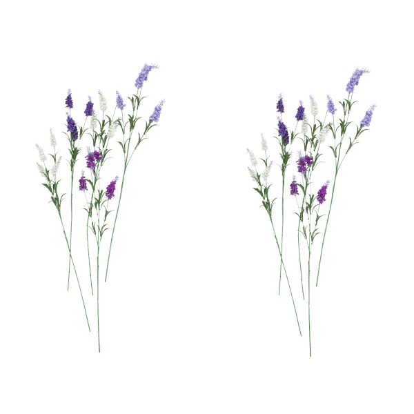 Lavendel